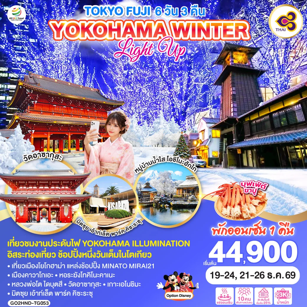 ทัวร์ญี่ปุ่น TOKYO FUJI YOKOHAMA WINTER LIGHT UP 6วัน 3คืน (TG)